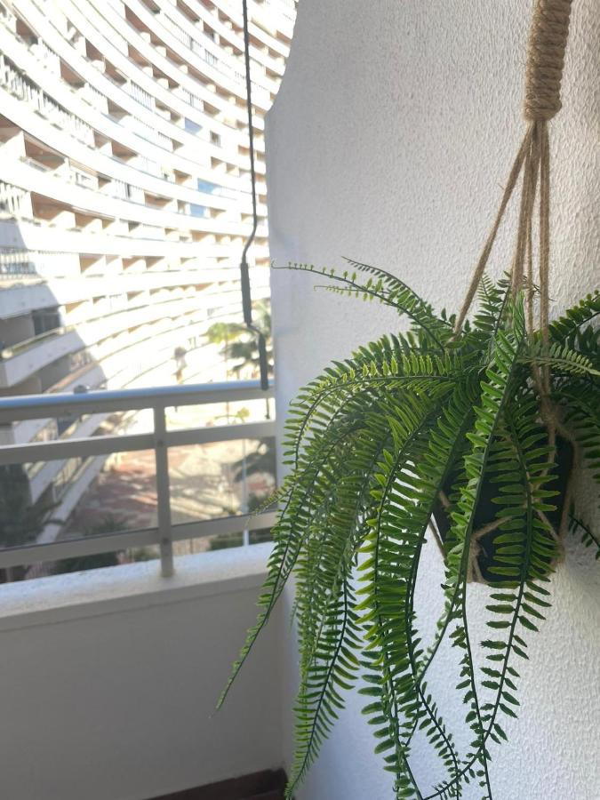 Vive El Mediterraneo - Apartamento Con Piscina En كولرا المظهر الخارجي الصورة